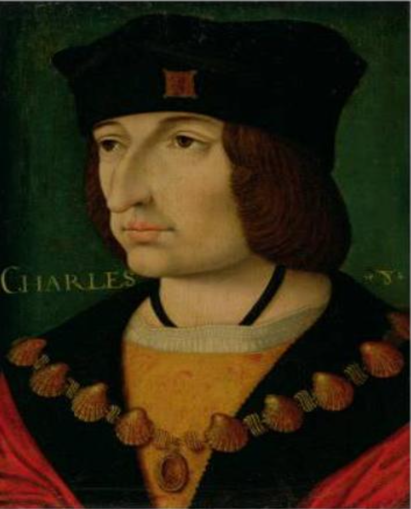 Charles VIII les chroniques d'anachronos